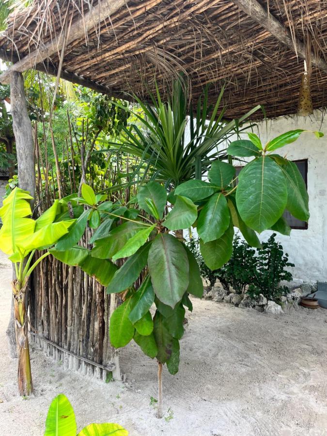 Karanga Bungalows Michamvi Kae Room photo